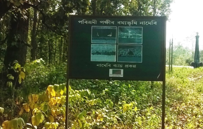 Visit Pobitora Wildlife Sanctuary, Visit Nameri National Park, Assam Tourism